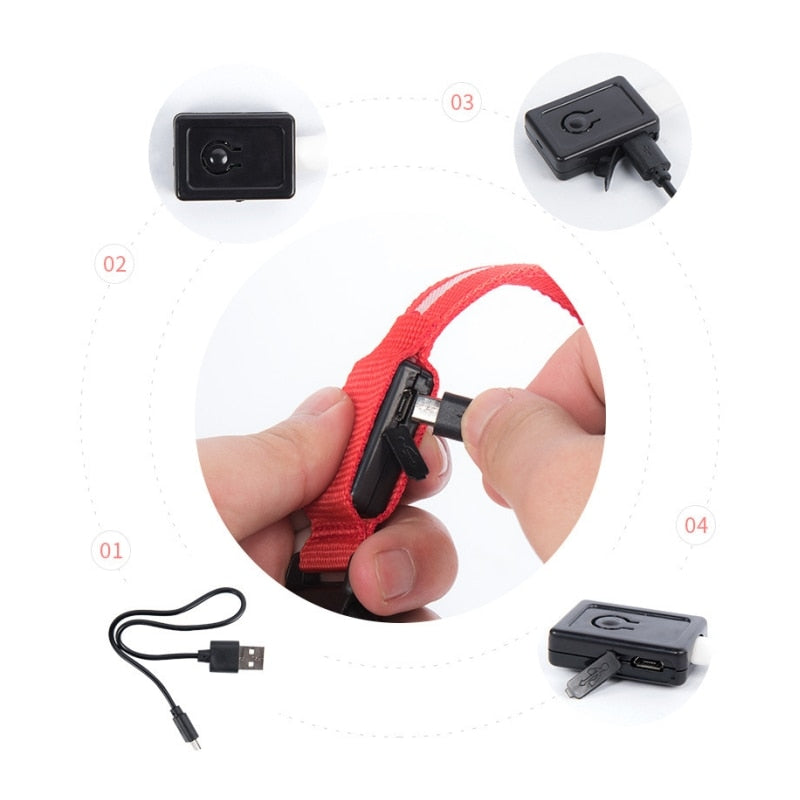 Lumidog™ Collier lumineux