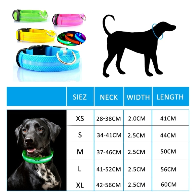 Lumidog™ Collier lumineux