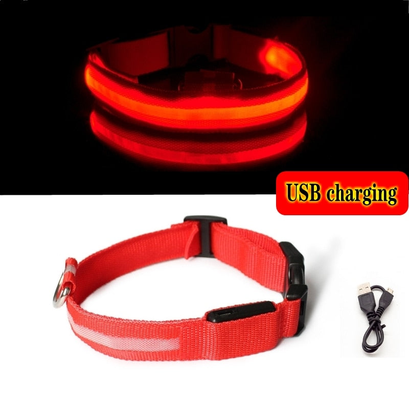Lumidog™ Collier lumineux