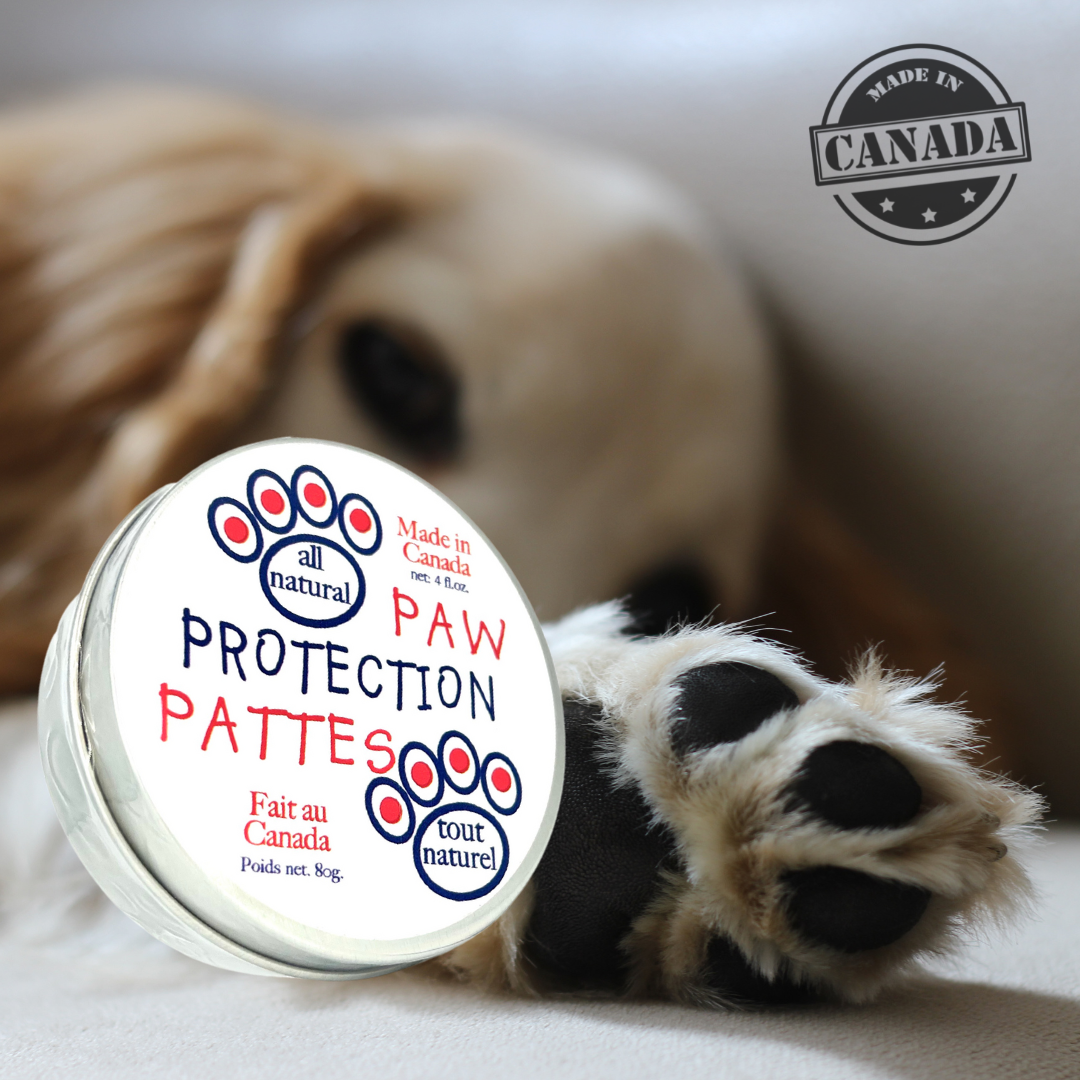 Baume de Protection pour Pattes