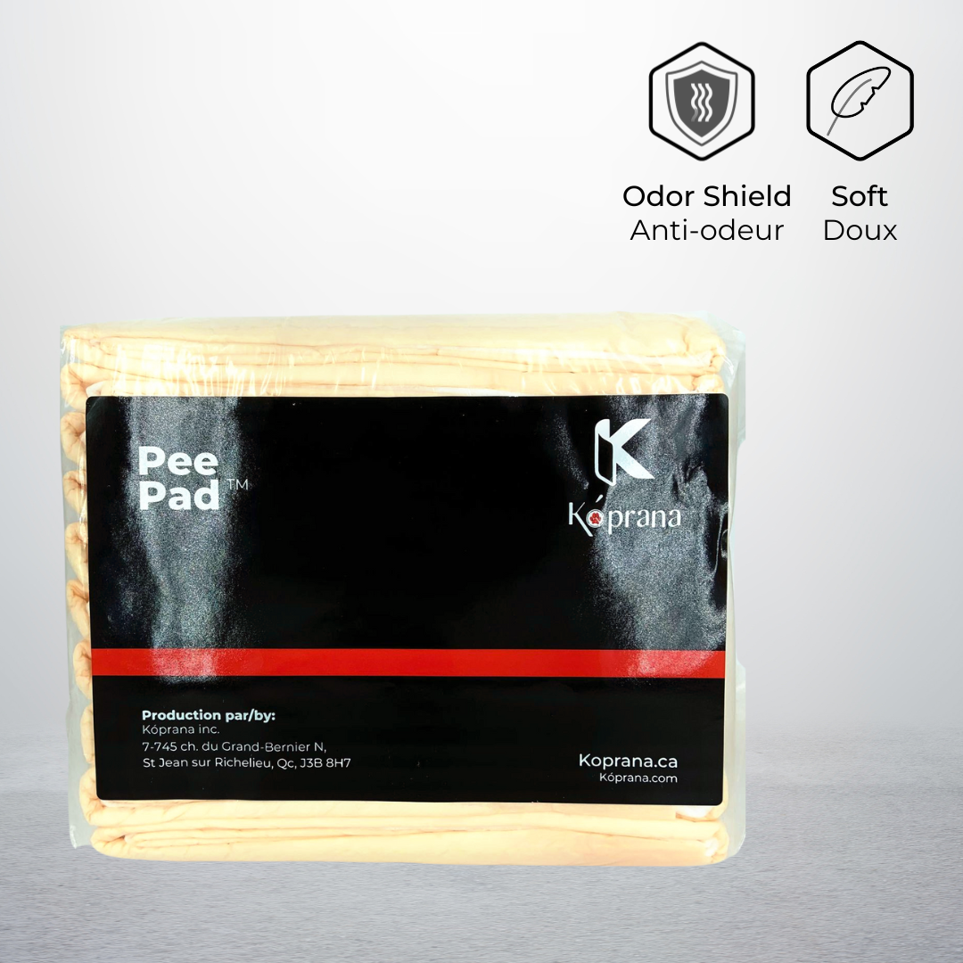 Tapis d'entrainement pour chien large 4 x 10/PQ (40un) | Super Max Pee Pad™