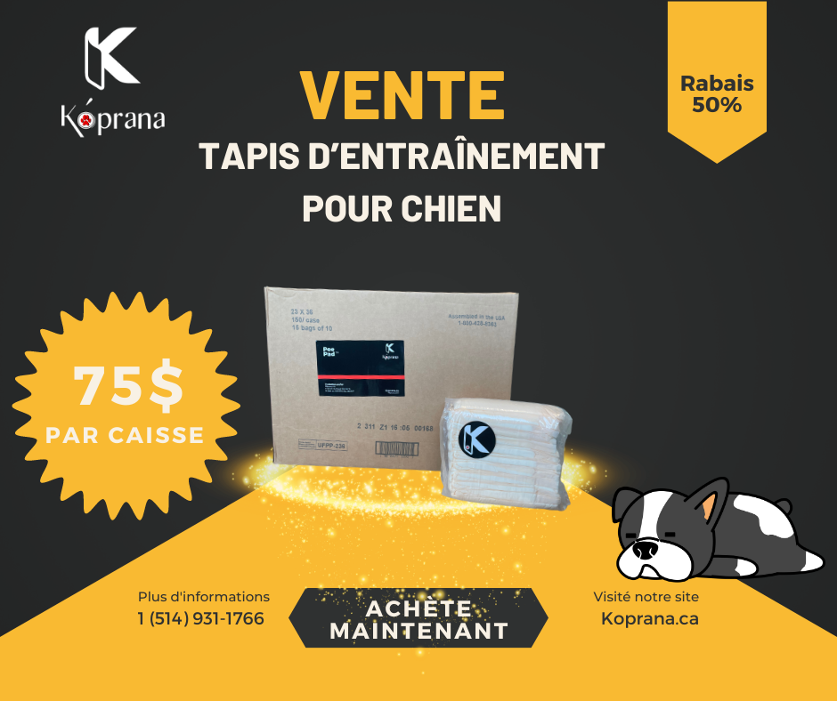 Tapis d'entrainement pour chien large Caisse 150 unités | Super Max Pee Pad™