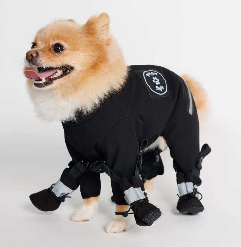 DOGGIE WEAR STYLE - Ensemble manteau et bottes