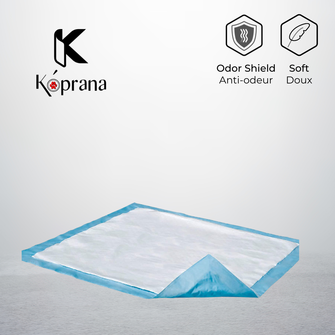 Tapis d'entrainement pour Chien Super - moyen (BT/100) | Pee Pad™