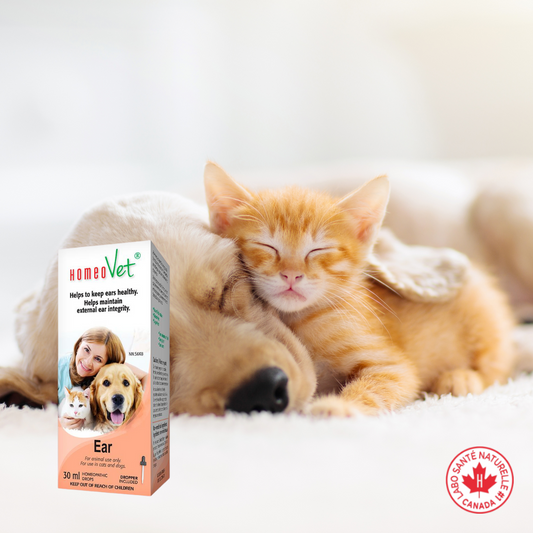 HomeoVet® Ear