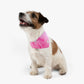 Kóprana Bandana Rose